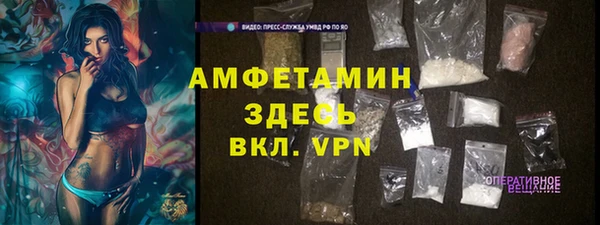 ALPHA PVP Богородицк